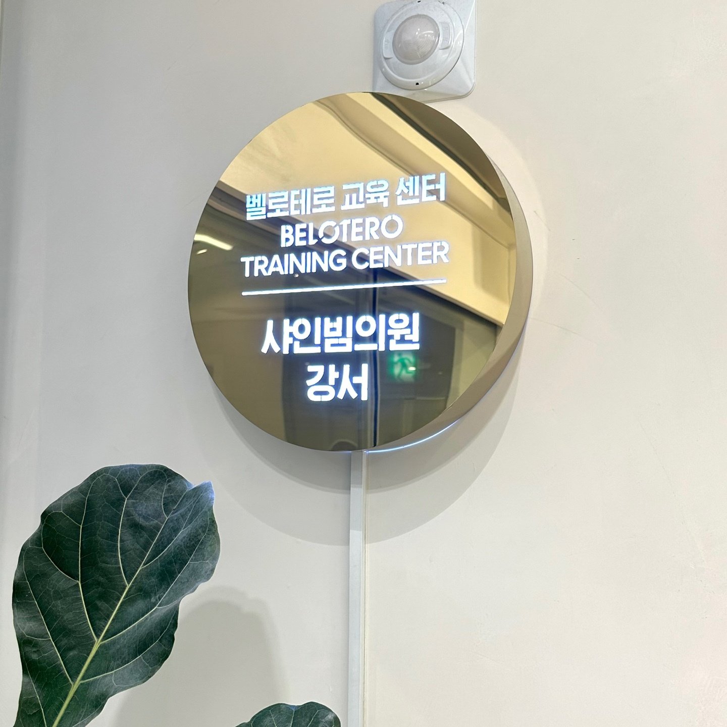 강서구 피부과 비용